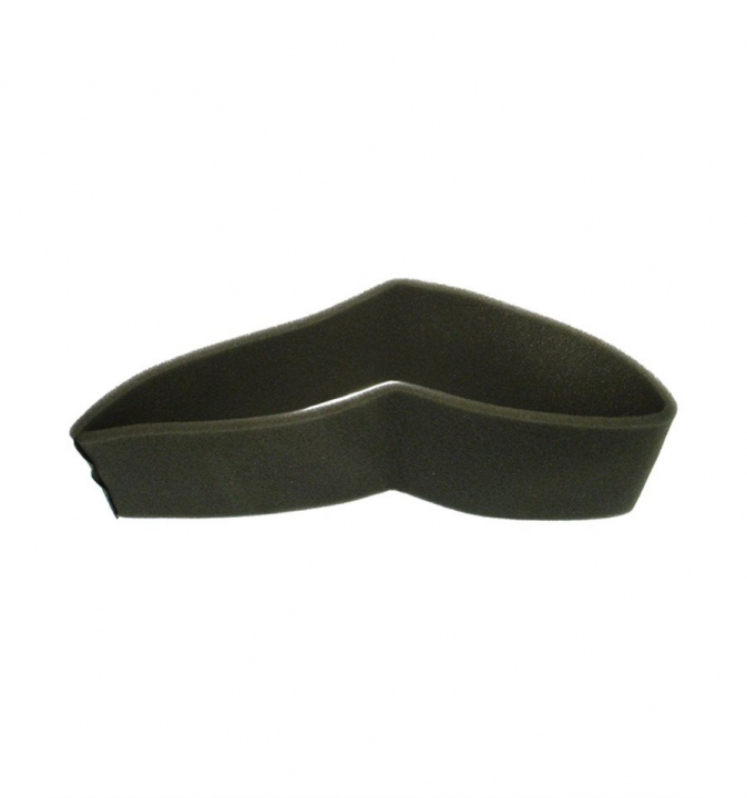 Filter in der Gruppe Ersatzteile / Briggs & Stratton Ersatzteile bei GPLSHOP (271962)