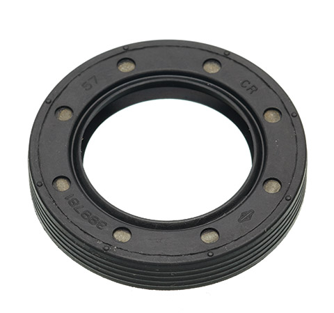 Oil seal 399781 in der Gruppe  bei GPLSHOP (399781)