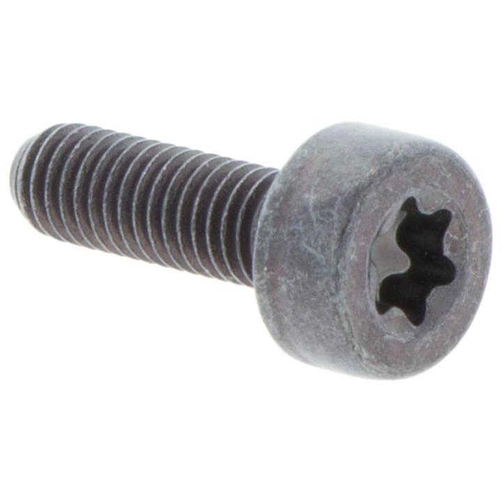 Schrauben in der Gruppe  bei GPLSHOP (5032153-16)