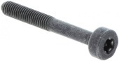 Schraube Itxscm in der Gruppe  bei GPLSHOP (5032153-65)