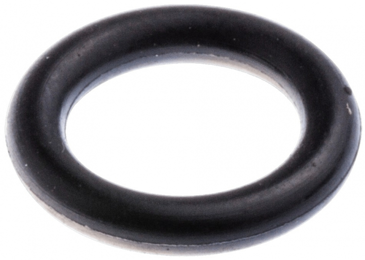 O-Ring in der Gruppe  bei GPLSHOP (5051035-01)