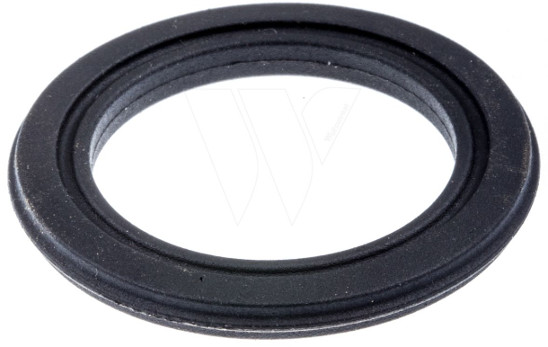 Dichtung in der Gruppe  bei GPLSHOP (5062921-01)