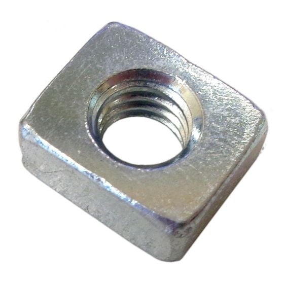 Nuss in der Gruppe  bei GPLSHOP (5064093-01)