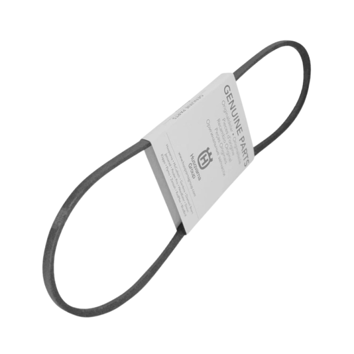 Riemen in der Gruppe  bei GPLSHOP (5068501-01)