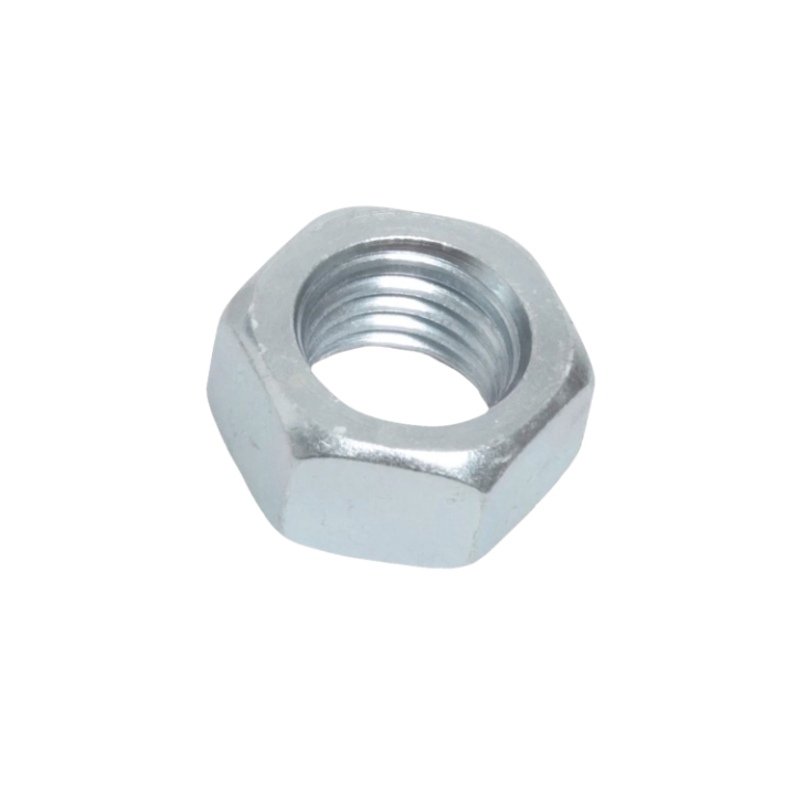 Nuss in der Gruppe bei GPLSHOP (5068998-01)