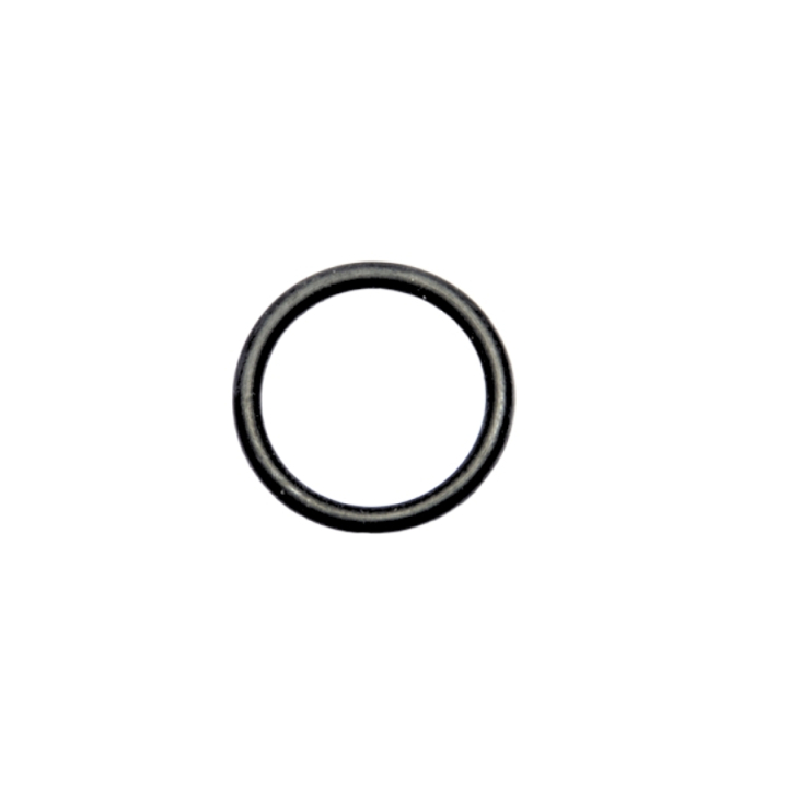 O-Ring in der Gruppe bei GPLSHOP (5102429-01)