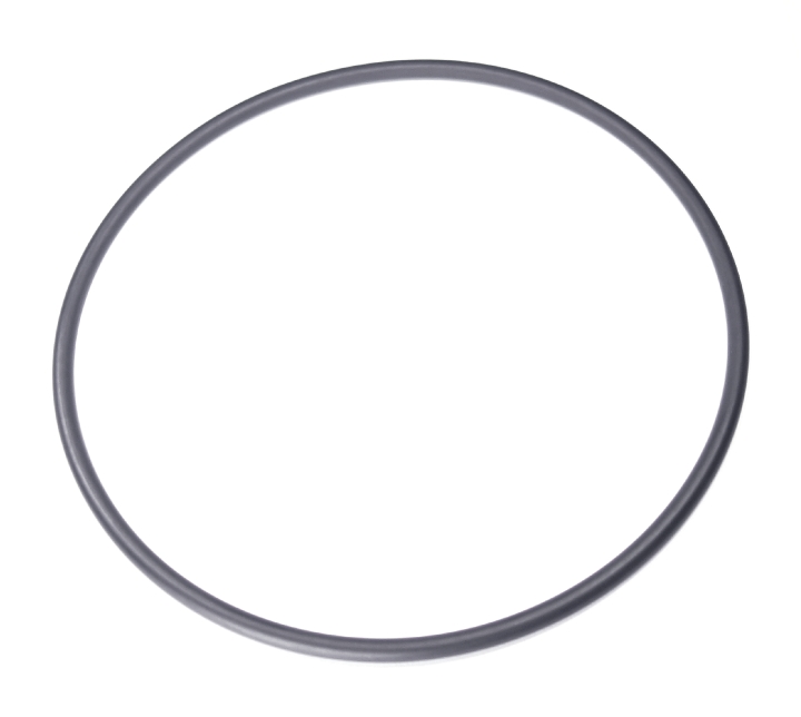 O-Ring in der Gruppe  bei GPLSHOP (5203240-01)