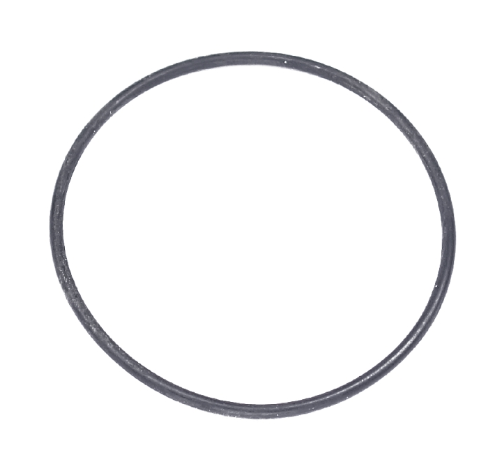 O-Ring in der Gruppe bei GPLSHOP (5203917-01)