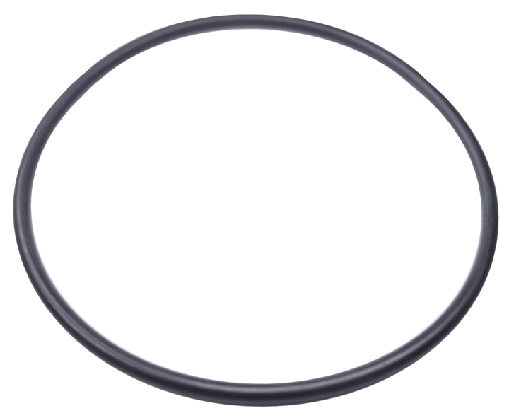 O-Ring in der Gruppe  bei GPLSHOP (5204056-01)
