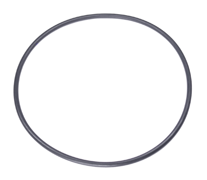 O-Ring in der Gruppe bei GPLSHOP (5204090-01)