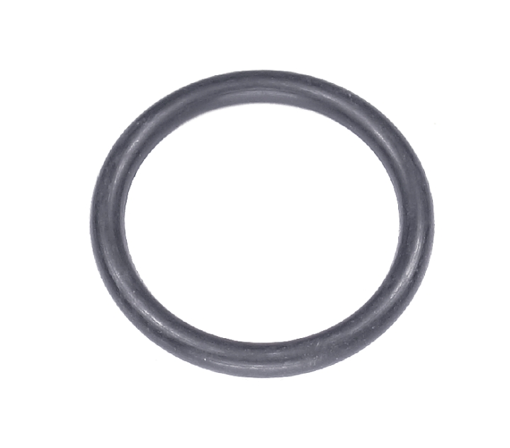 O-Ring in der Gruppe  bei GPLSHOP (5204093-01)