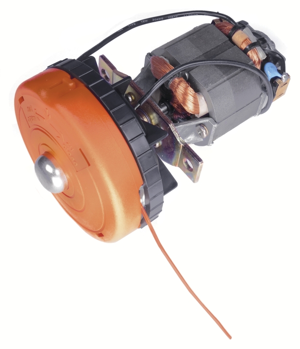 Elektromotor komplett in der Gruppe bei GPLSHOP (5204523-01)