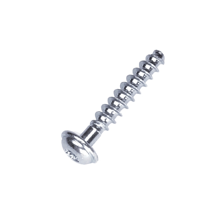 Schraube T50X28 5205247-01 in der Gruppe bei GPLSHOP (5205247-01)
