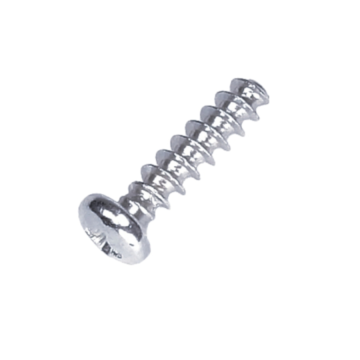 Schlitzschraube 5219480-01 in der Gruppe  bei GPLSHOP (5219480-01)