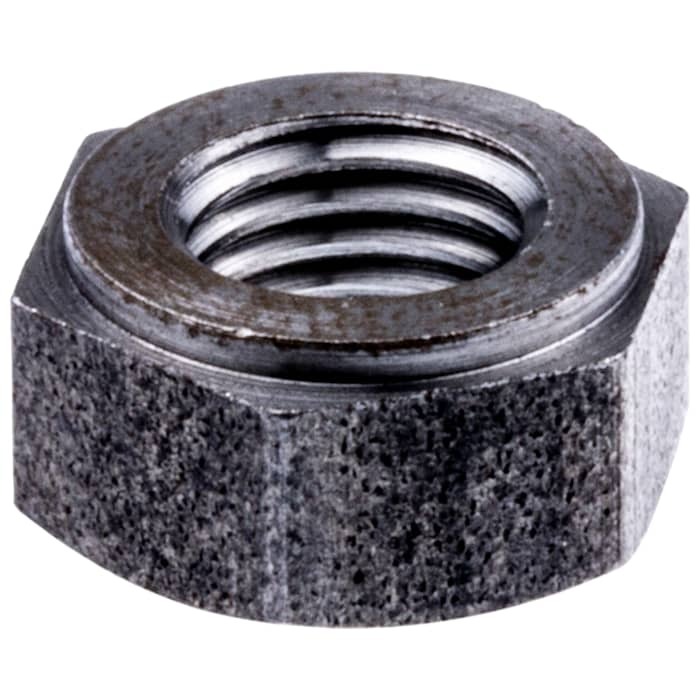 Nuss in der Gruppe  bei GPLSHOP (5231224-03)