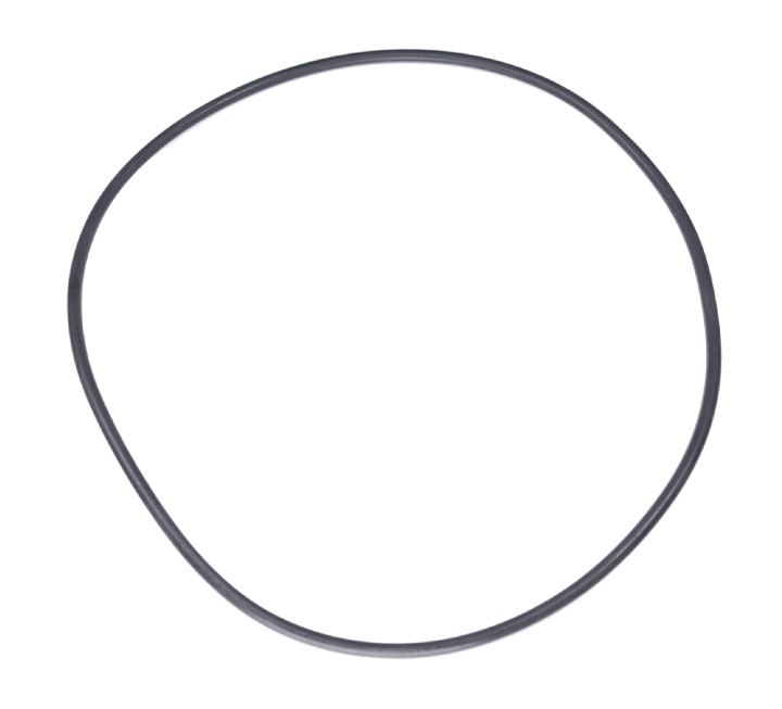 O-Ring in der Gruppe  bei GPLSHOP (5255607-01)
