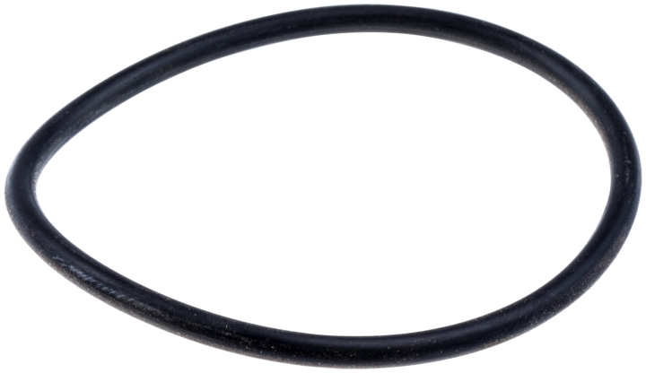 O-Ring in der Gruppe bei GPLSHOP (5310030-37)