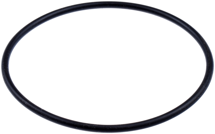 O-Ring in der Gruppe  bei GPLSHOP (5310032-15)