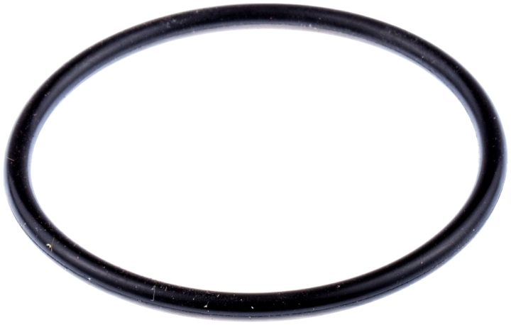 O-Ring in der Gruppe bei GPLSHOP (5310033-45)