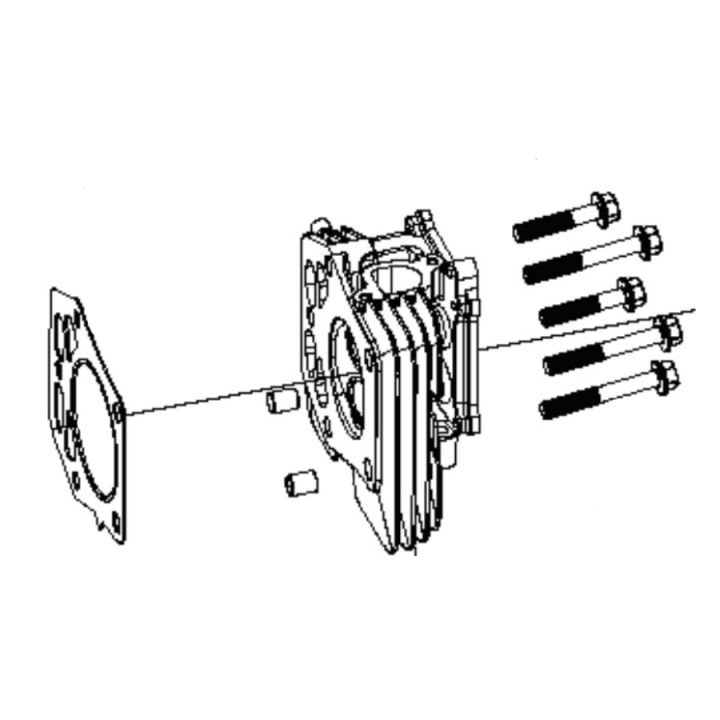 Zylinderkopf-Kit in der Gruppe Ersatzteile / Ersatzteile Rider / Ersatzteile Husqvarna Rider 214TC bei GPLSHOP (5311469-91)