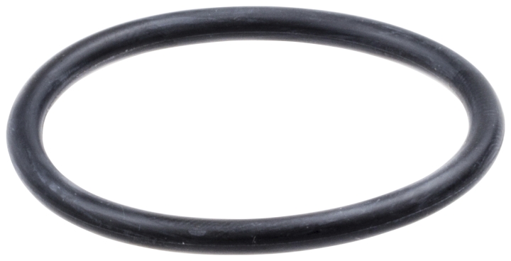 O-Ring in der Gruppe bei GPLSHOP (5371250-01)