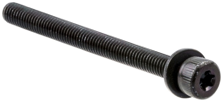 Schrauben in der Gruppe bei GPLSHOP (5442579-01)