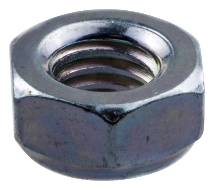 Nuss in der Gruppe  bei GPLSHOP (5443052-01)