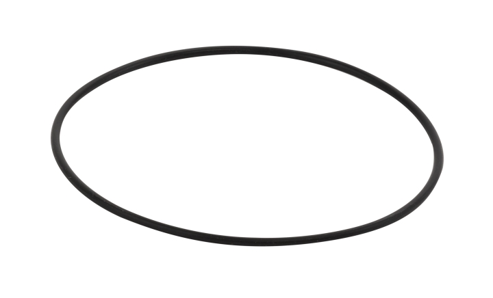 O-Ring in der Gruppe bei GPLSHOP (5744525-01)