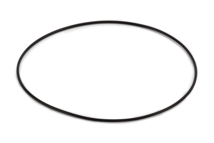 O-Ring in der Gruppe bei GPLSHOP (5744529-01)