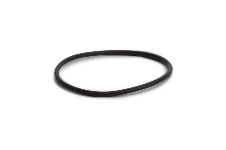 O-Ring in der Gruppe  bei GPLSHOP (5744530-01)