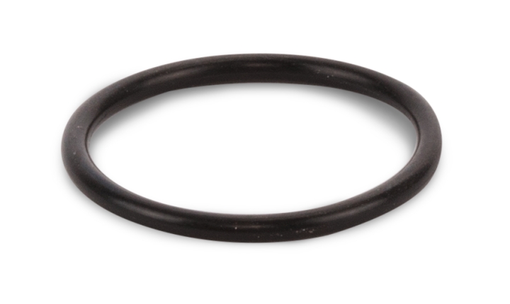 O-Ring in der Gruppe bei GPLSHOP (5790199-01)