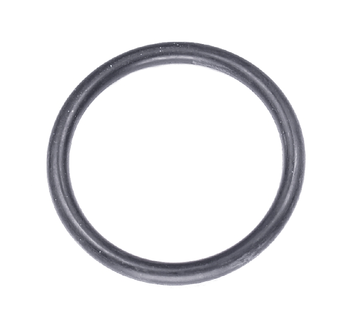 O-Ring in der Gruppe bei GPLSHOP (5790921-01)