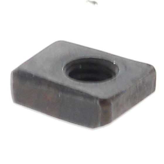 Nuss in der Gruppe  bei GPLSHOP (5817748-01)