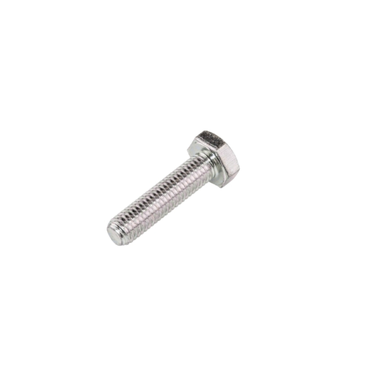 Schraube in der Gruppe bei GPLSHOP (5884095-01)