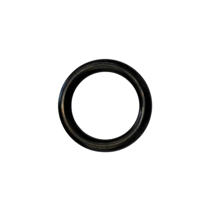 O-Ring in der Gruppe bei GPLSHOP (5884163-01)