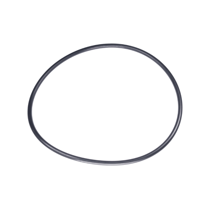 O-Ring 160X5,5 5885243-01 in der Gruppe  bei GPLSHOP (5885243-01)