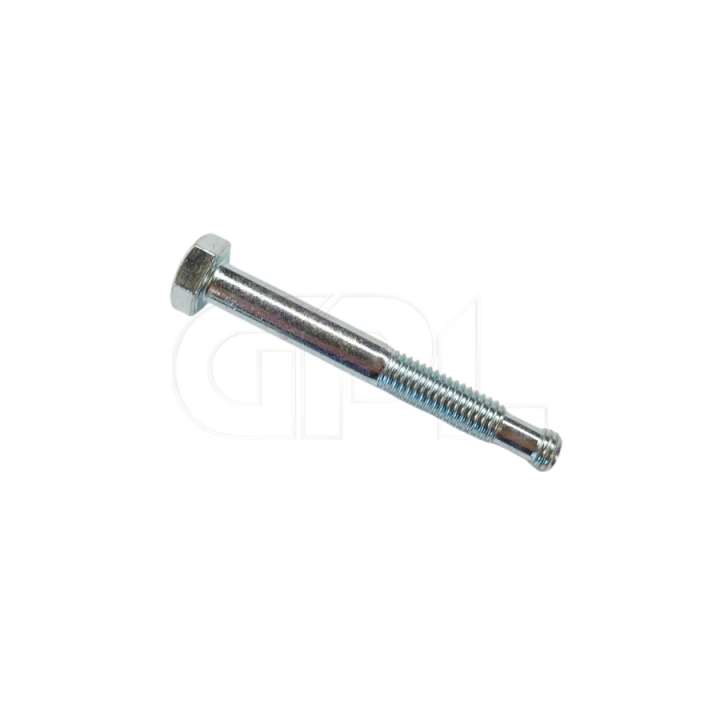 Spezielle Schraube in der Gruppe bei GPLSHOP (5897800-01)