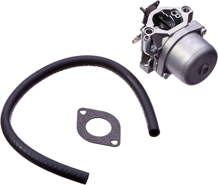 Vergaser in der Gruppe Ersatzteile / Briggs & Stratton Ersatzteile bei GPLSHOP (593432)