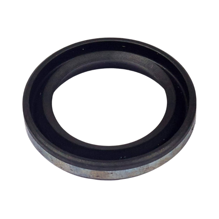 Dichtung in der Gruppe Ersatzteile / Briggs & Stratton Ersatzteile bei GPLSHOP (5936015-72)