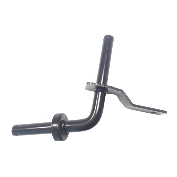 Spinne in der Gruppe  bei GPLSHOP (5968736-01)