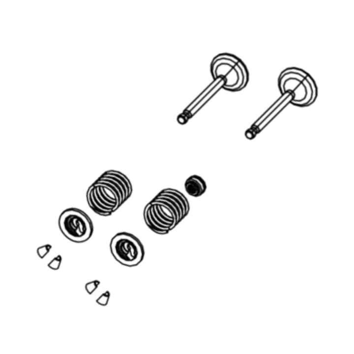 Ventilsatz in der Gruppe Ersatzteile / Ersatzteile Gräsklippare / Ersatzteile till Motorer / Ersatzteile RATO R210 bei GPLSHOP (5993489-84)
