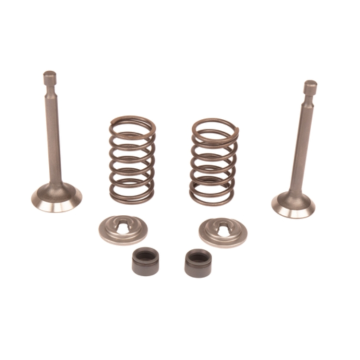 Ventilsatz 5993490-42 in der Gruppe  bei GPLSHOP (5993490-42)