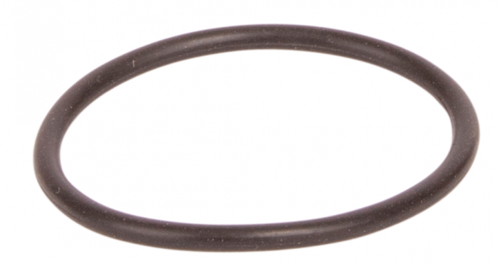 Siegelring in der Gruppe  bei GPLSHOP (5995961-01)