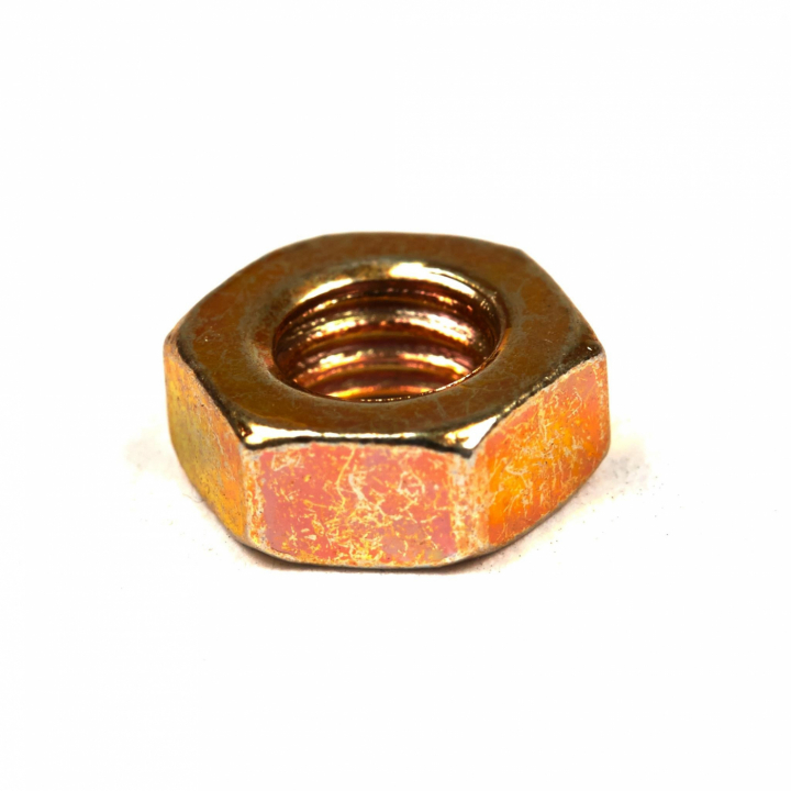 Nuss in der Gruppe  bei GPLSHOP (690800)