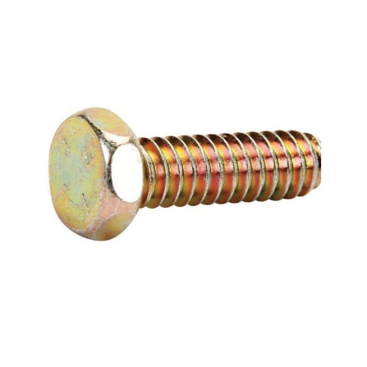 Schrauben in der Gruppe  bei GPLSHOP (691100)
