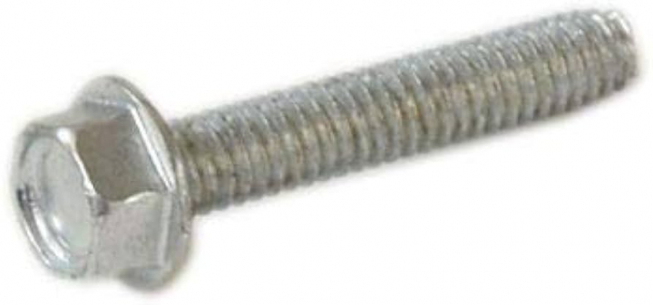 Schrauben in der Gruppe  bei GPLSHOP (691183)