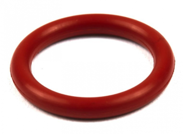O-Ring in der Gruppe bei GPLSHOP (691876)