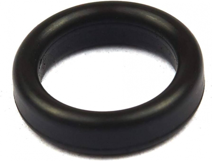 O-Ring in der Gruppe  bei GPLSHOP (692154)