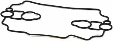 Dichtung des Schwimmergehäuses in der Gruppe  bei GPLSHOP (693711)