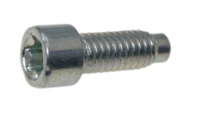 Schrauben in der Gruppe  bei GPLSHOP (698941)